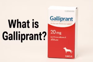 What is Galliprant