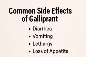 Common Side Effects of Galliprant