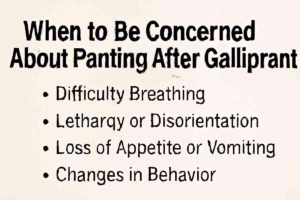 When to Be Concerned About Panting After Galliprant