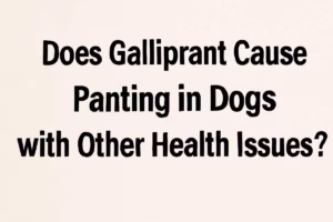 Does Galliprant Cause Panting in Dogs with Other Health Issues