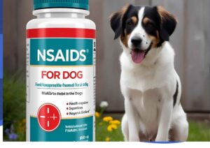 NSAIDs for Dogs