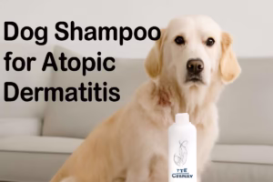Dog Shampoo for Atopic Dermatitis