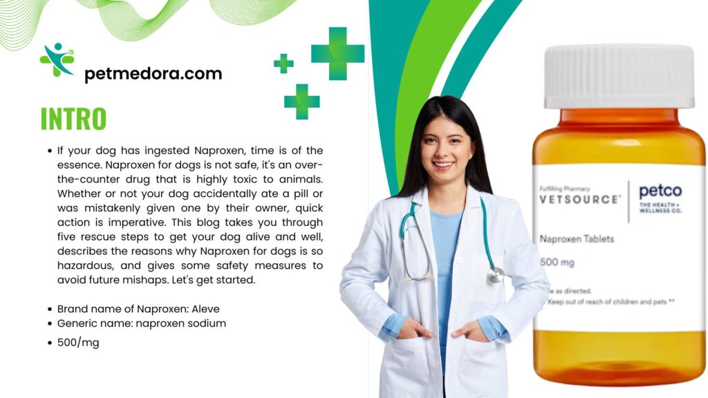 Naproxen for Dogs