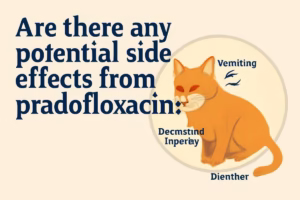 Are there any potential side effects from pradofloxacin