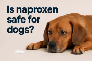 Is naproxen safe for dogs? 
