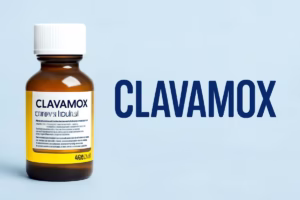 General Description of Clavamox
