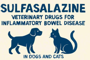 Sulfasalazine: Veterinary Drugs for Inflammatory Bowel Disease in Dogs and Cats  