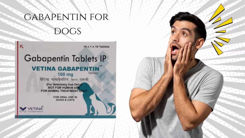 Gabapentin for Dogs