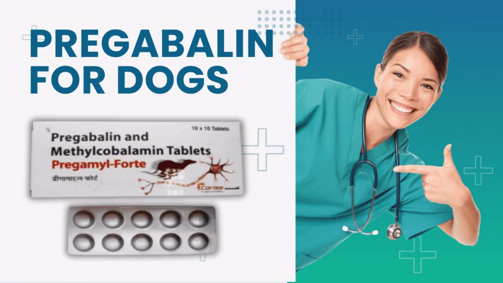 pregabalin for dogs