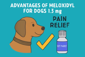 Advantages of Meloxidyl for Dogs 1.5 mg Pain Relief