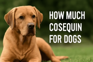 How Much Cosequin for Dogs