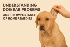 Understanding Dog Ear Problems and the Importance of Home Remedies
