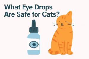 What Eye Drops Are Safe for Cats?